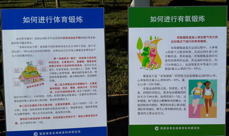 B体育官网：篮球运动科学：如何避免运动损伤，延长职业生涯？的简单介绍